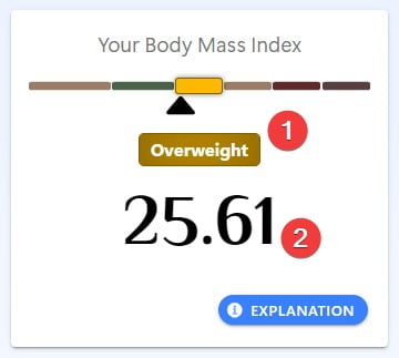 BMI Calculator - Result