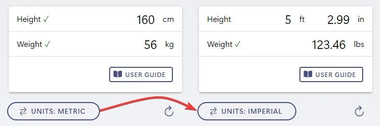 Health Calculator - Unit System Switcher