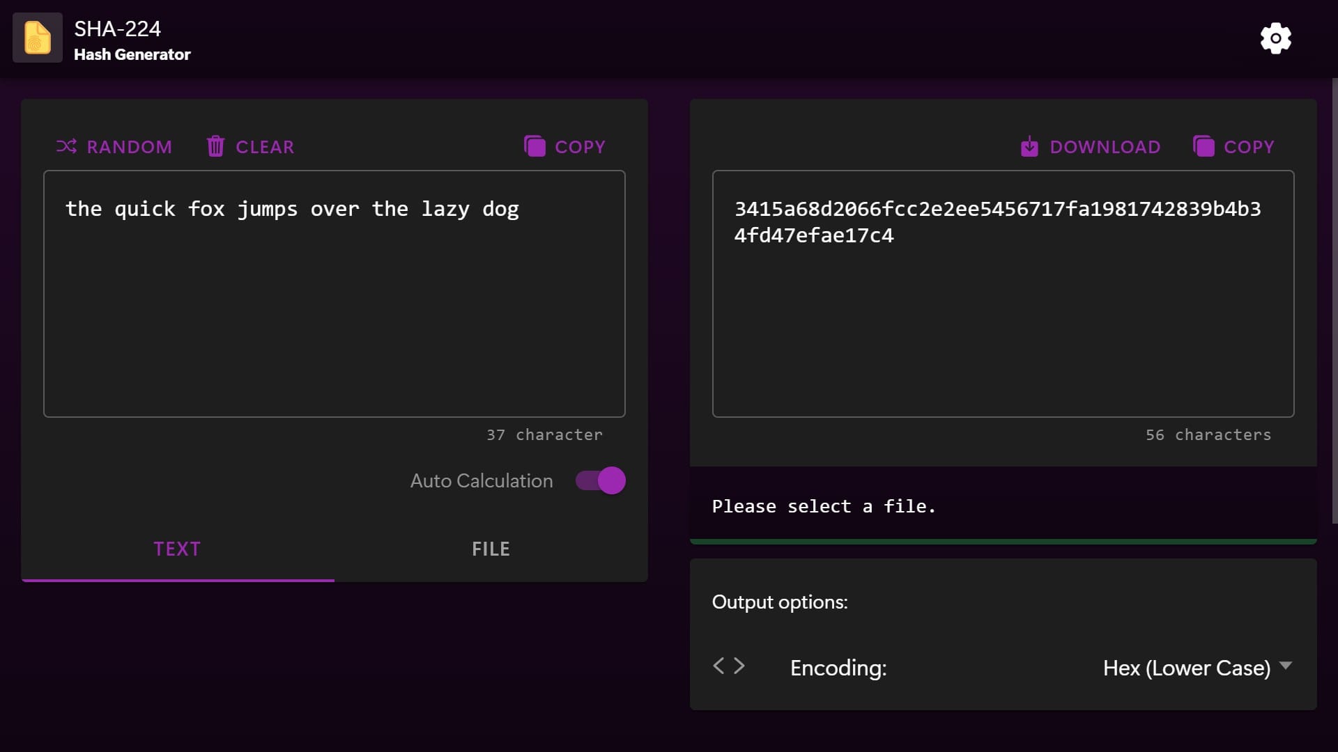SHA-224 Hash Generator UI