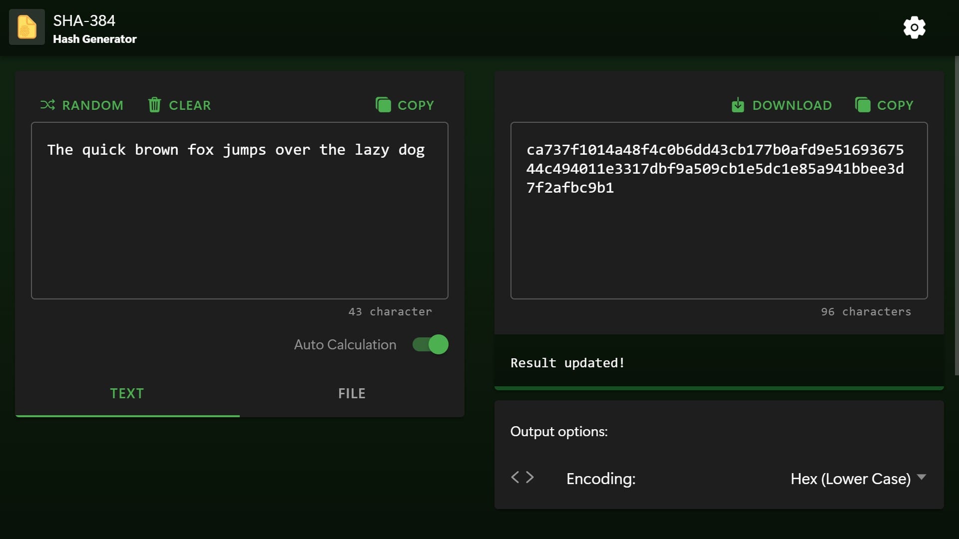 SHA-384 Hash Generator UI