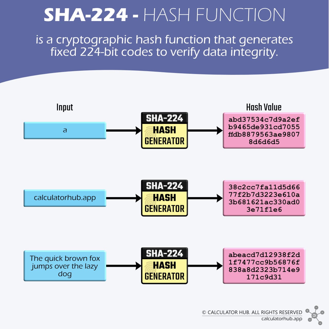 SHA-224 Definition and Examples